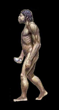 hominid.jpg