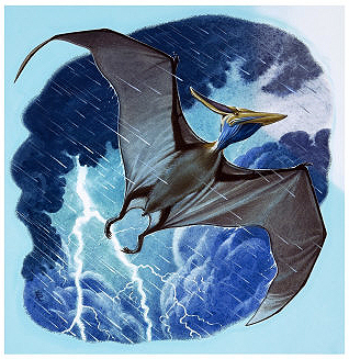 Pterodactyl - Buy this art print at AllPosters.com.