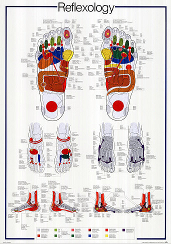 Shiatsu Tsubo Chart