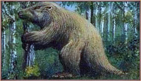 Giant Ground Sloth