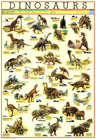 Mokele-mbembe - CreationWiki, the encyclopedia of creation science