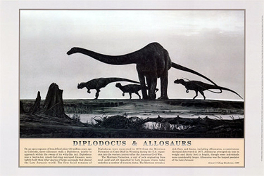 Mokele-mbembe - CreationWiki, the encyclopedia of creation science